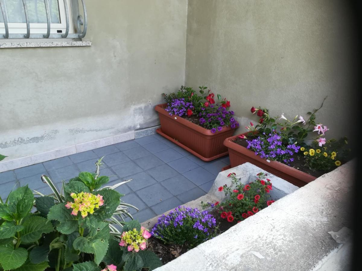 L Agrifoglio Di Rita Loddo Apartment Fonni Bagian luar foto