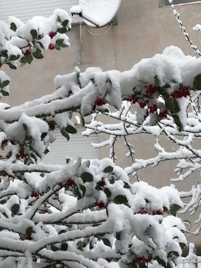 L Agrifoglio Di Rita Loddo Apartment Fonni Bagian luar foto